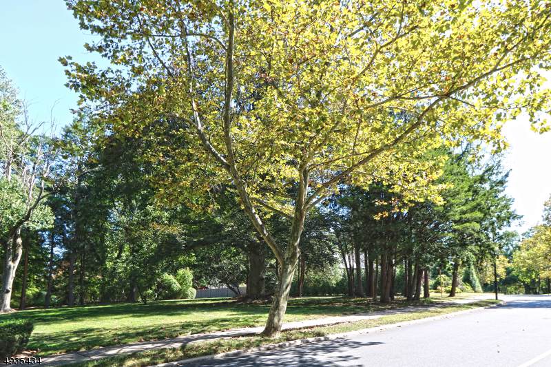 0 Elmwynd Drive - Photo 1