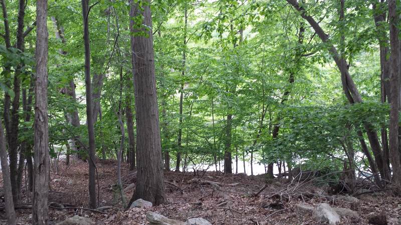 36 Oneida Ave - Photo 1