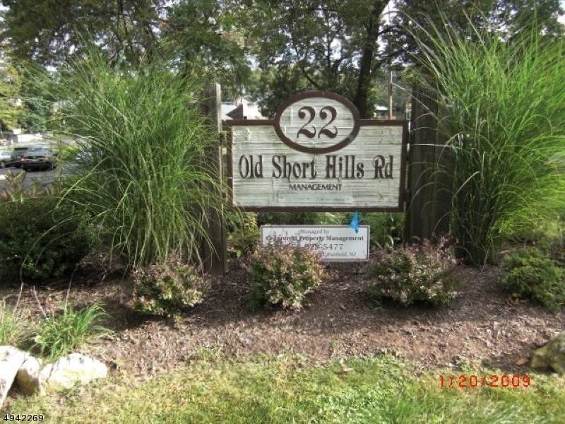 22 Old Short Hills Rd - Photo 1