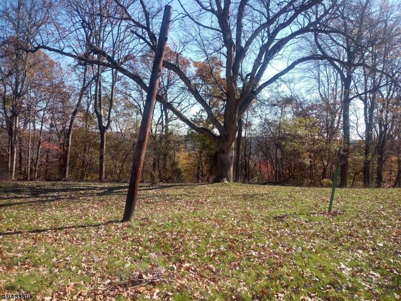0 Alberon Rd - Photo 1