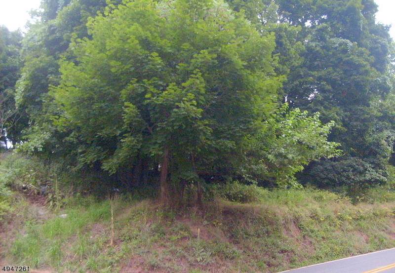 0 Milford Mount Pleasant - Photo 1