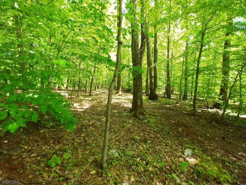6 Shore Dr - Photo 1