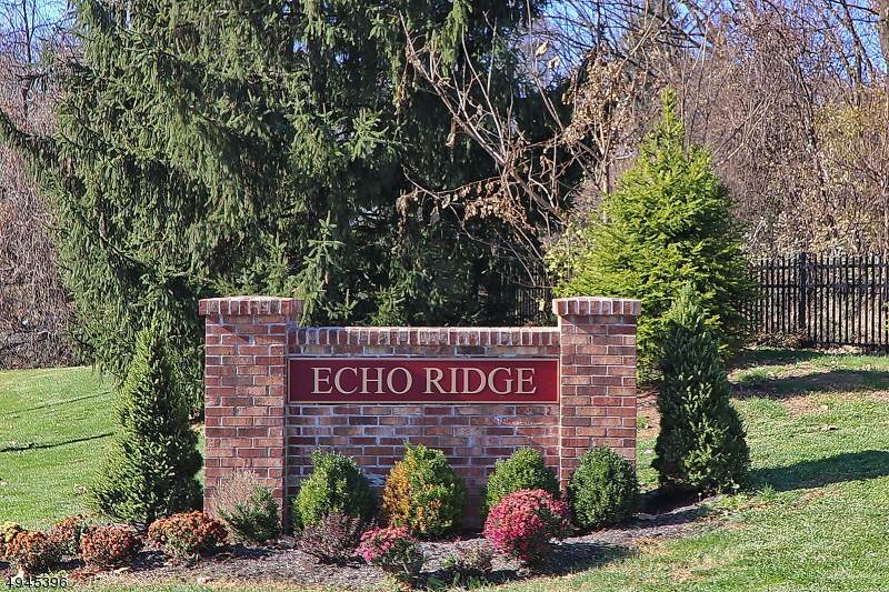 207 Echo Ridge Way - Photo 1
