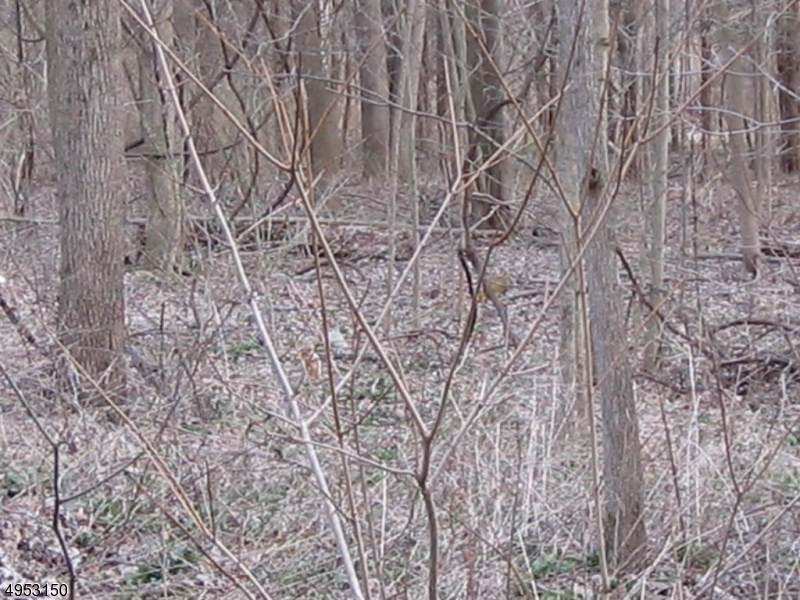14 Route 46 - Photo 1