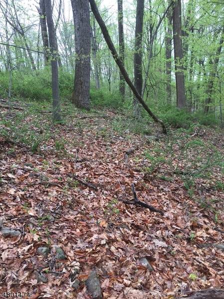 0 Rock Hollow Rd - Photo 1