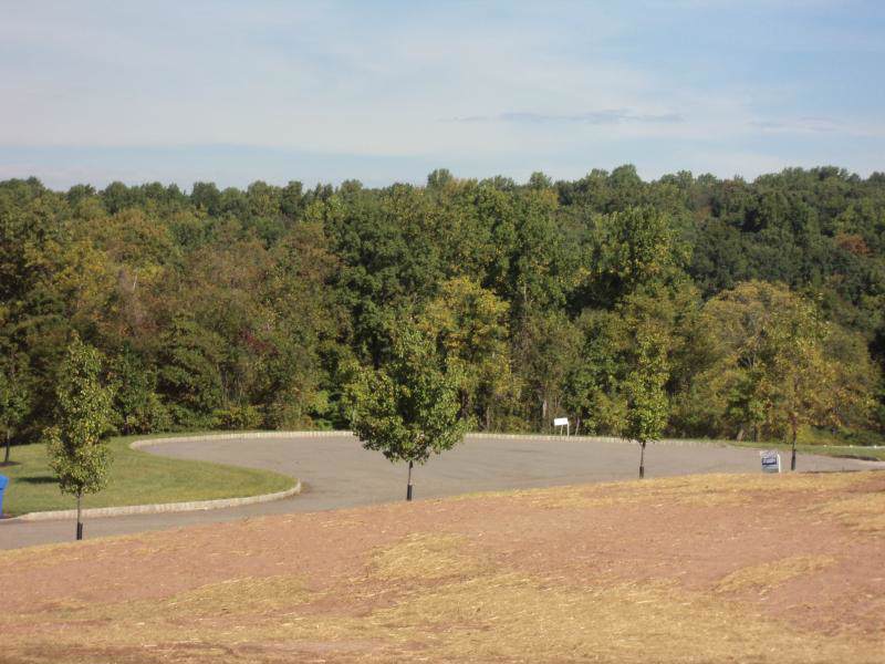 163 Rick Rd - Photo 1