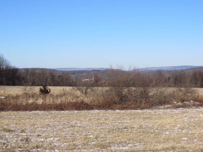 39 Old Beaver Run Rd - Photo 1