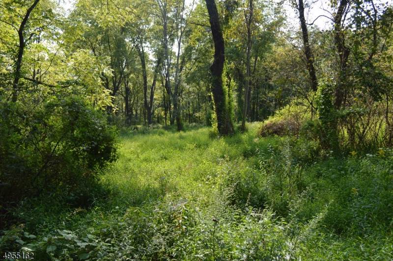 40 Delaware Rd - Photo 1