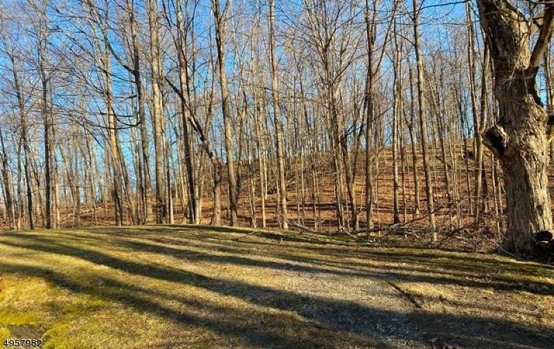 549 Route 94 - Photo 1