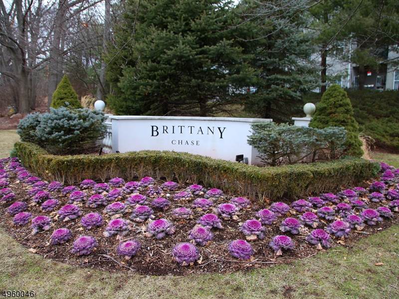 8201 Brittany Dr - Photo 1