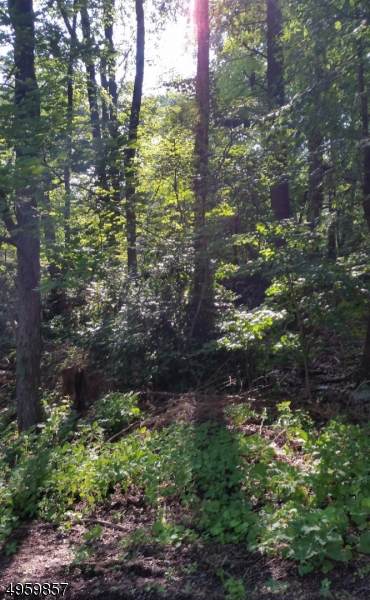 2011 W Lakeside Dr - Photo 1
