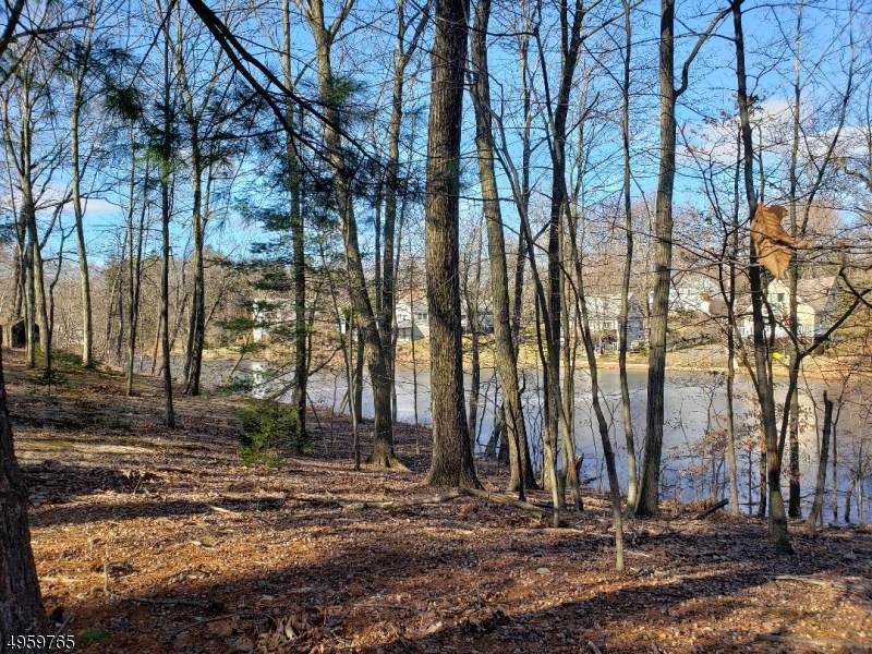 161 Cedar Crest Rd - Photo 1