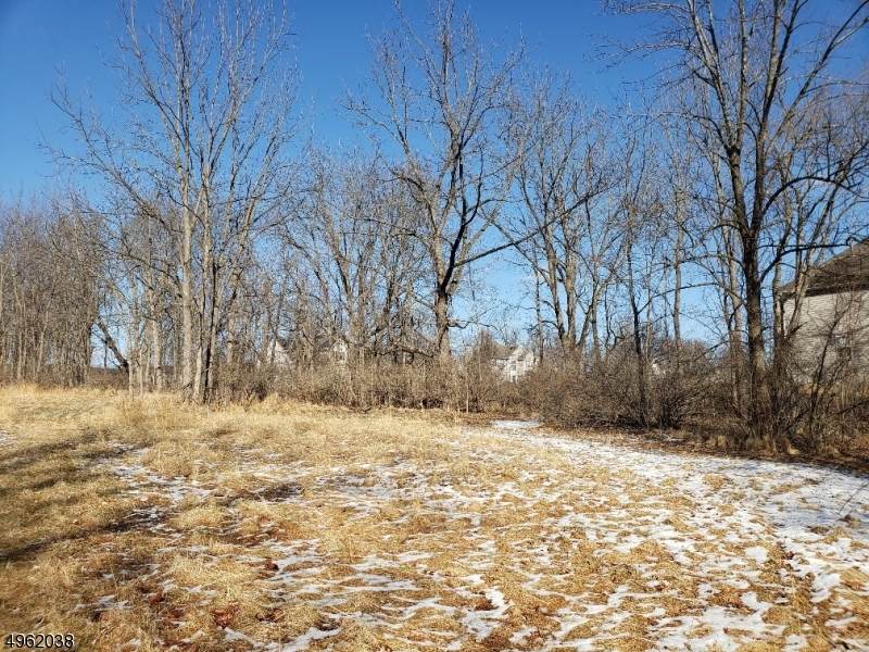 1783 Route 57 - Photo 1