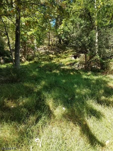 73 Watchtower Road - Photo 1