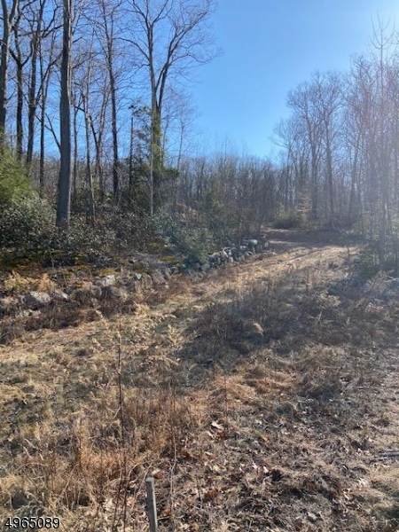 53 Roaring Brook Way - Photo 1