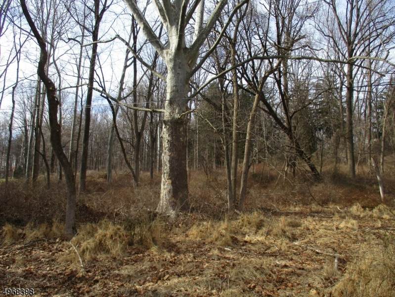 86 Douglass Ave - Photo 1