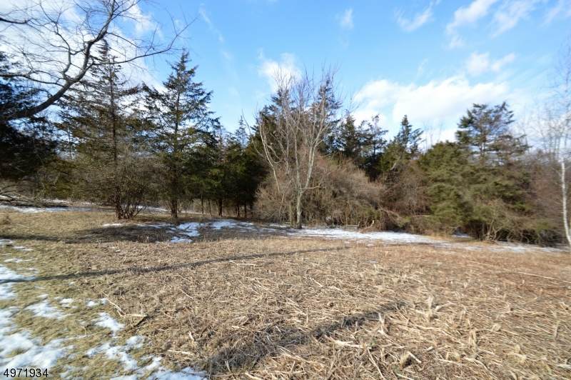 217 Beaver Run Rd - Photo 1