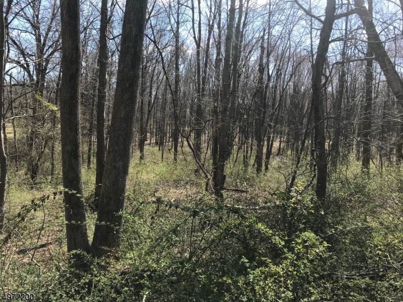0 River Rd - Photo 1