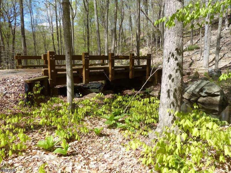 66 Rippling Brook Way - Photo 1