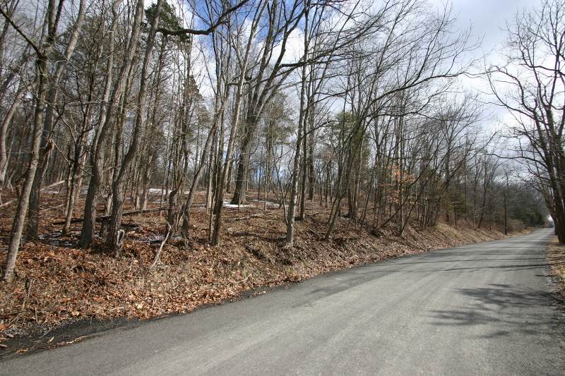 60 Brookville Hollow Rd - Photo 1 60 Brookville Hollow Rd - Photo 1