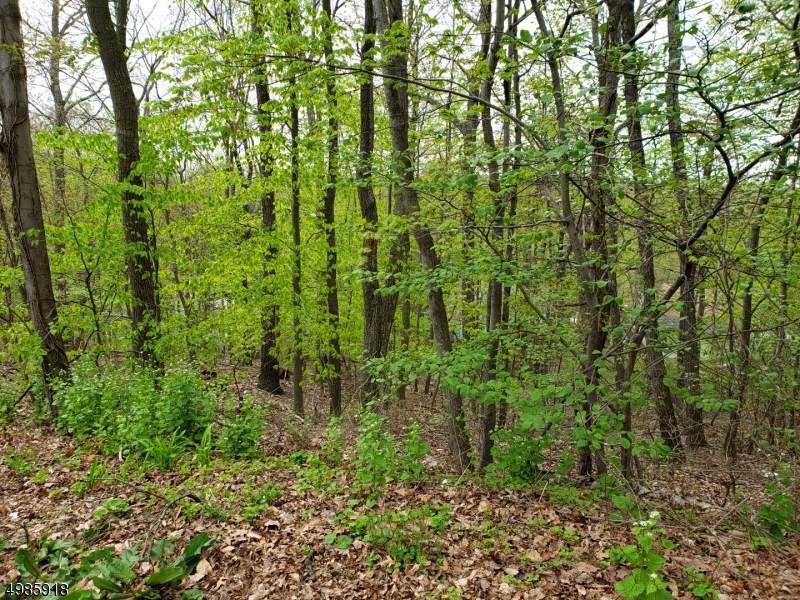 43 Hampton Rd - Photo 1