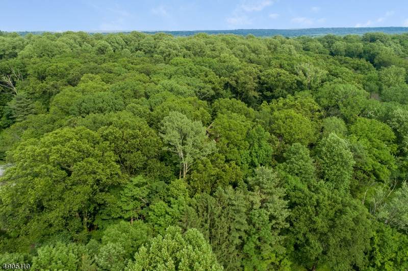 207 Blue Mill Rd - Photo 1