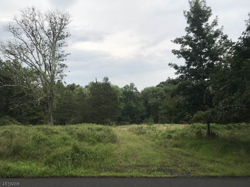 447 Spring Hill Rd - Photo 1