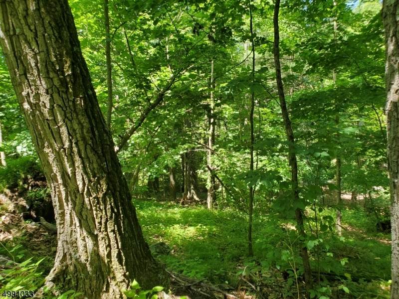 11 Hemlock Ave - Photo 1