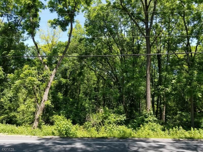 80 Route 519 - Photo 1