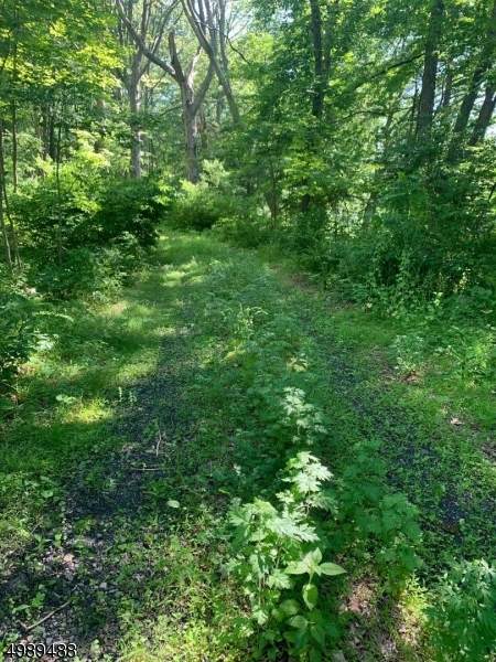 2 W Lakeside Ln - Photo 1