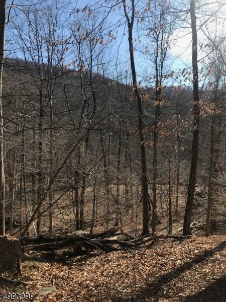 Buckhorn Dr - Photo 1