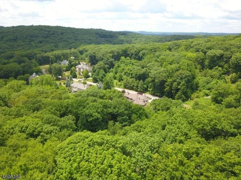 17 Oak Ln (M) - Photo 1