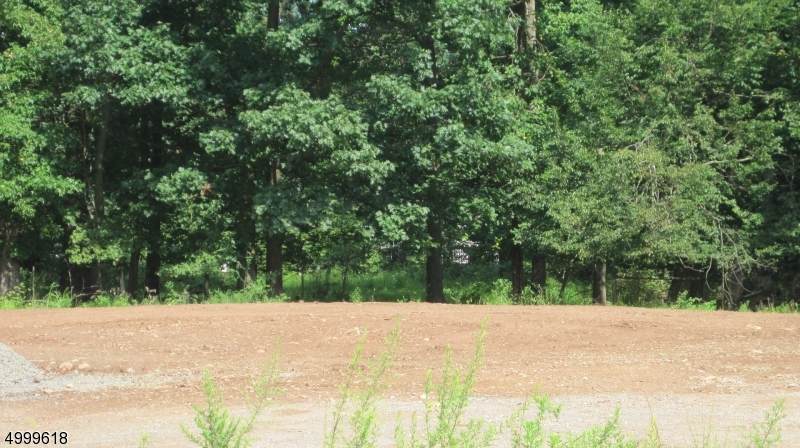 2 Norwegian Woods - Photo 1