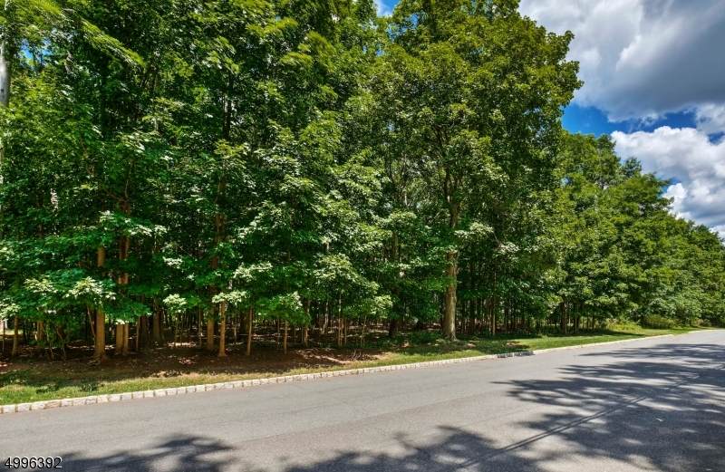 18 Sunnybranch Rd - Photo 1
