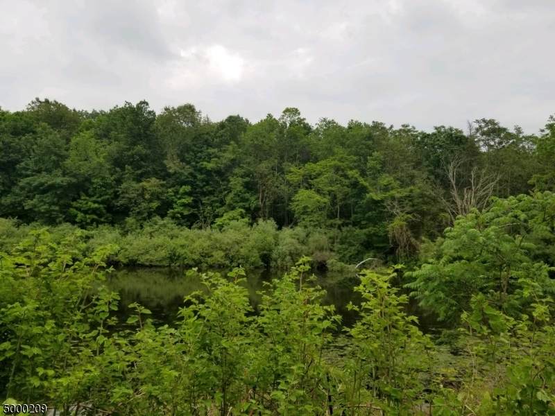 355 Siver Lake Road - Photo 1