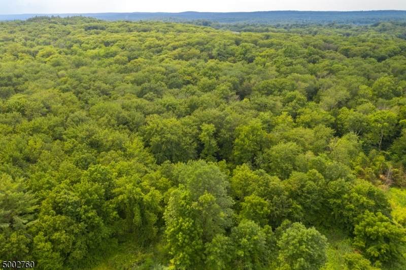 0 Maple Rd - Photo 1