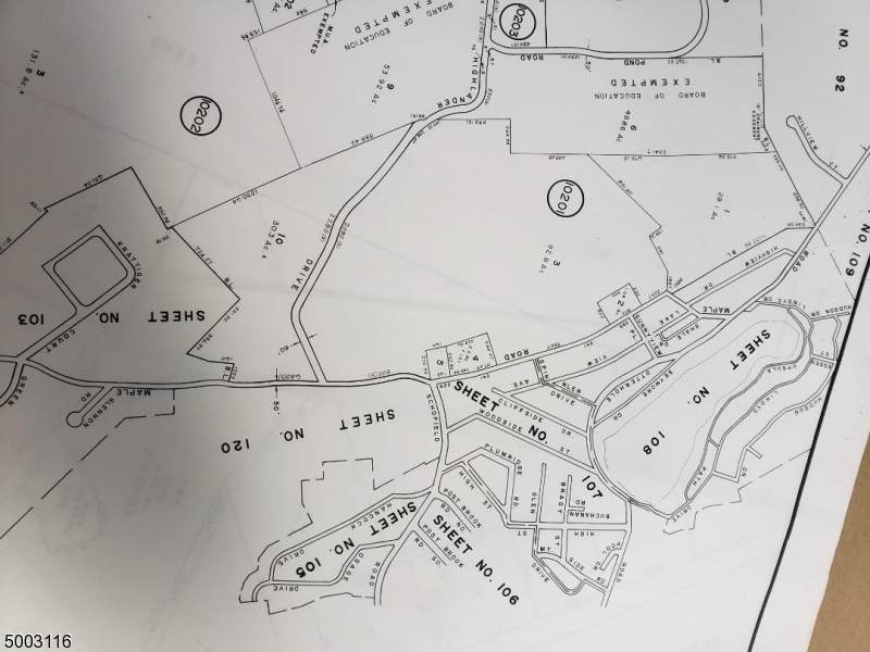 0 Maple Rd - Photo 1