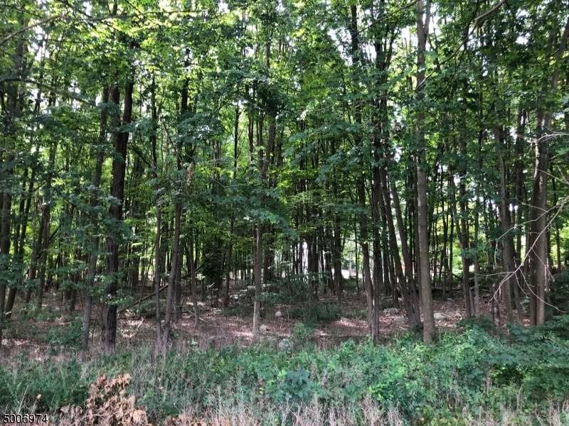 5561 Berkshire Valley Rd - Photo 1