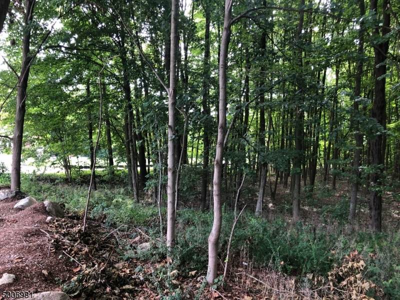 5561 Berkshire Valley Rd - Photo 1