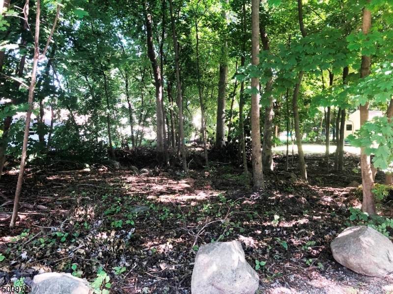 0 Voorhis Pl - Photo 1