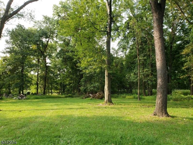 0 Harrison Rd - Photo 1