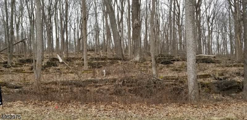5 Tanner - Photo 1
