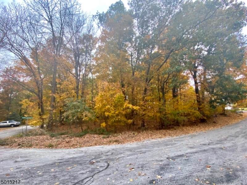 12 Amisa Ct/1 Tanglewood - Photo 1