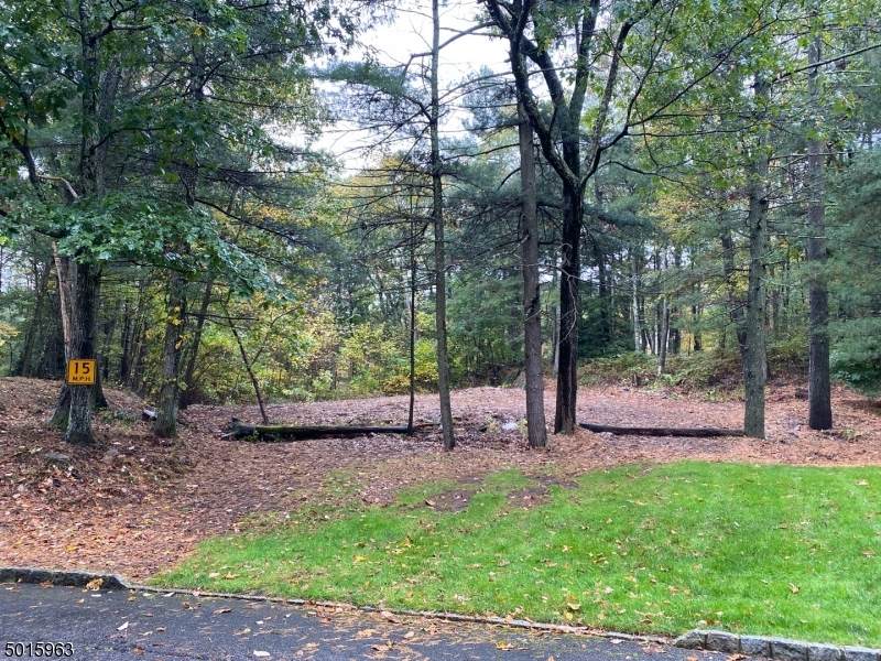0 Lancaster Ln - Photo 1