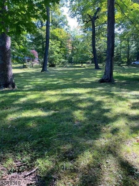 0 Oaks Road - Photo 1