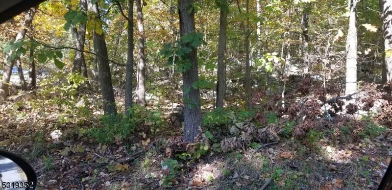 1 Lawrence Dr/3 Hubert Rd - Photo 1