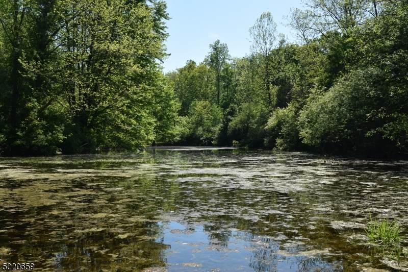 38 Hemlock Rd - Photo 1