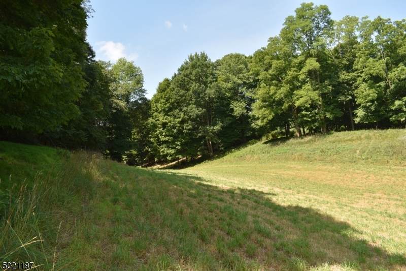 75 Paulinskill Lake Rd - Photo 1