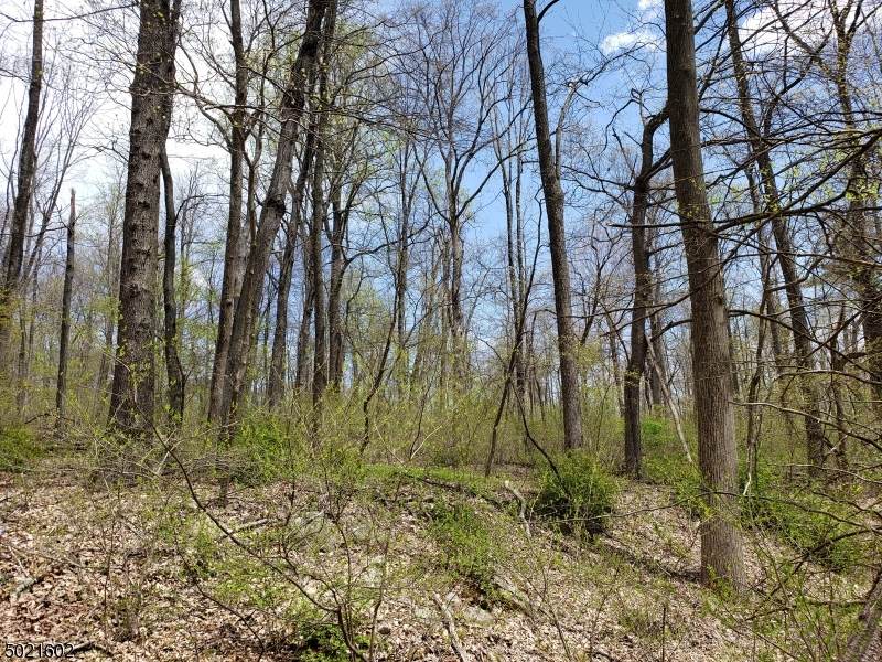 96 Hartmans Corner Rd - Photo 1