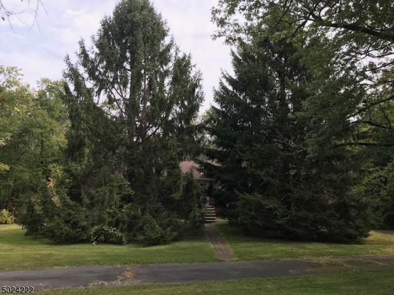 508 Spring Valley Rd - Photo 1